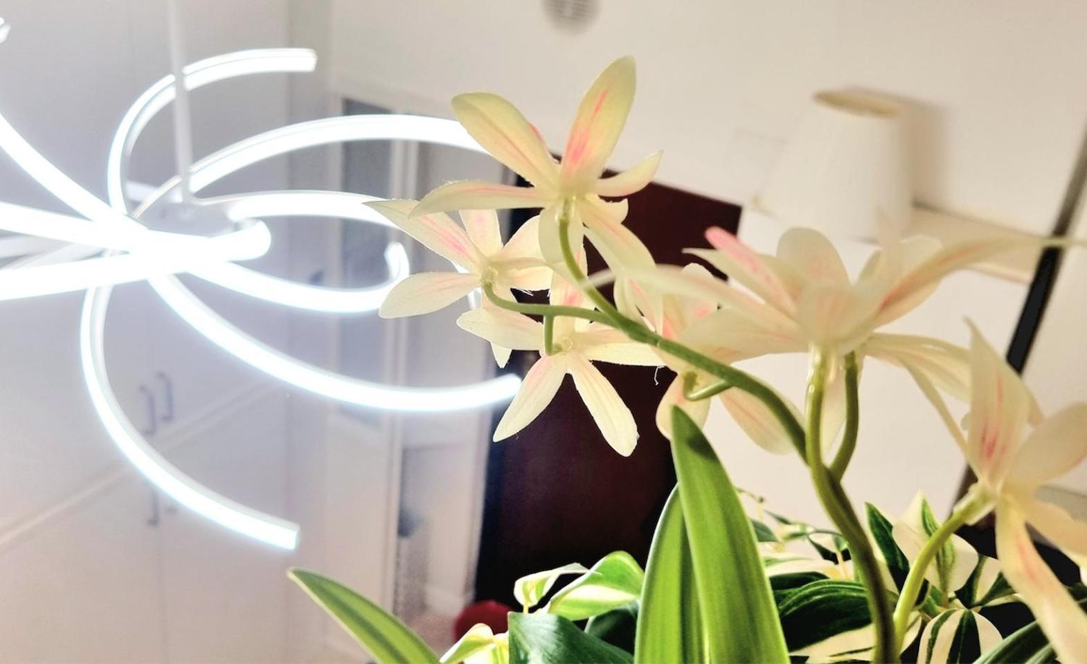 Isola Brera Duomo - Antica Atmosfera - Lovable Cozy Apartment ミラノ エクステリア 写真