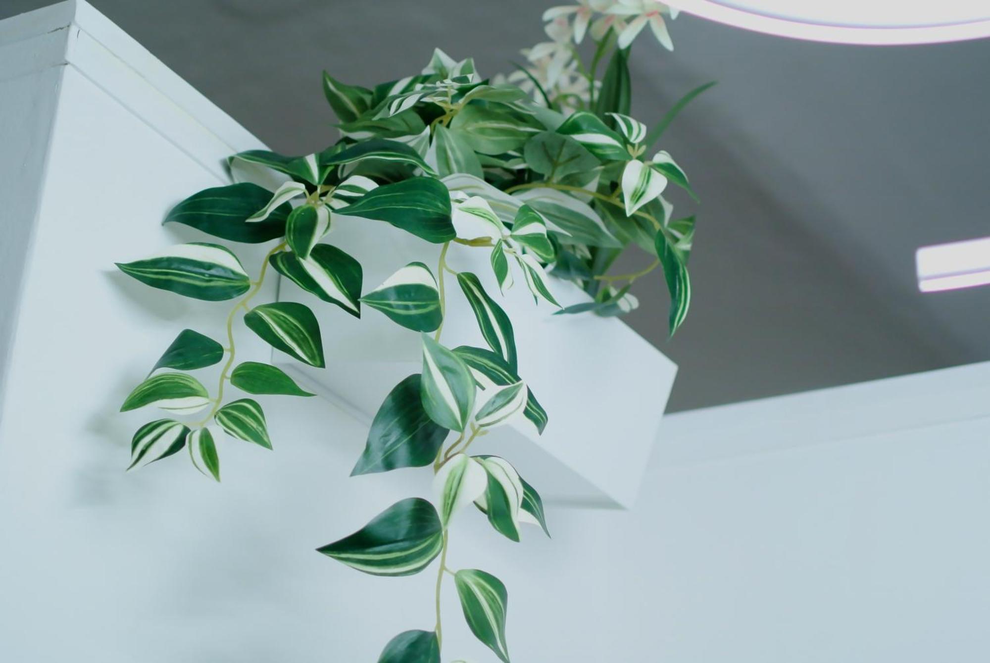Isola Brera Duomo - Antica Atmosfera - Lovable Cozy Apartment ミラノ エクステリア 写真