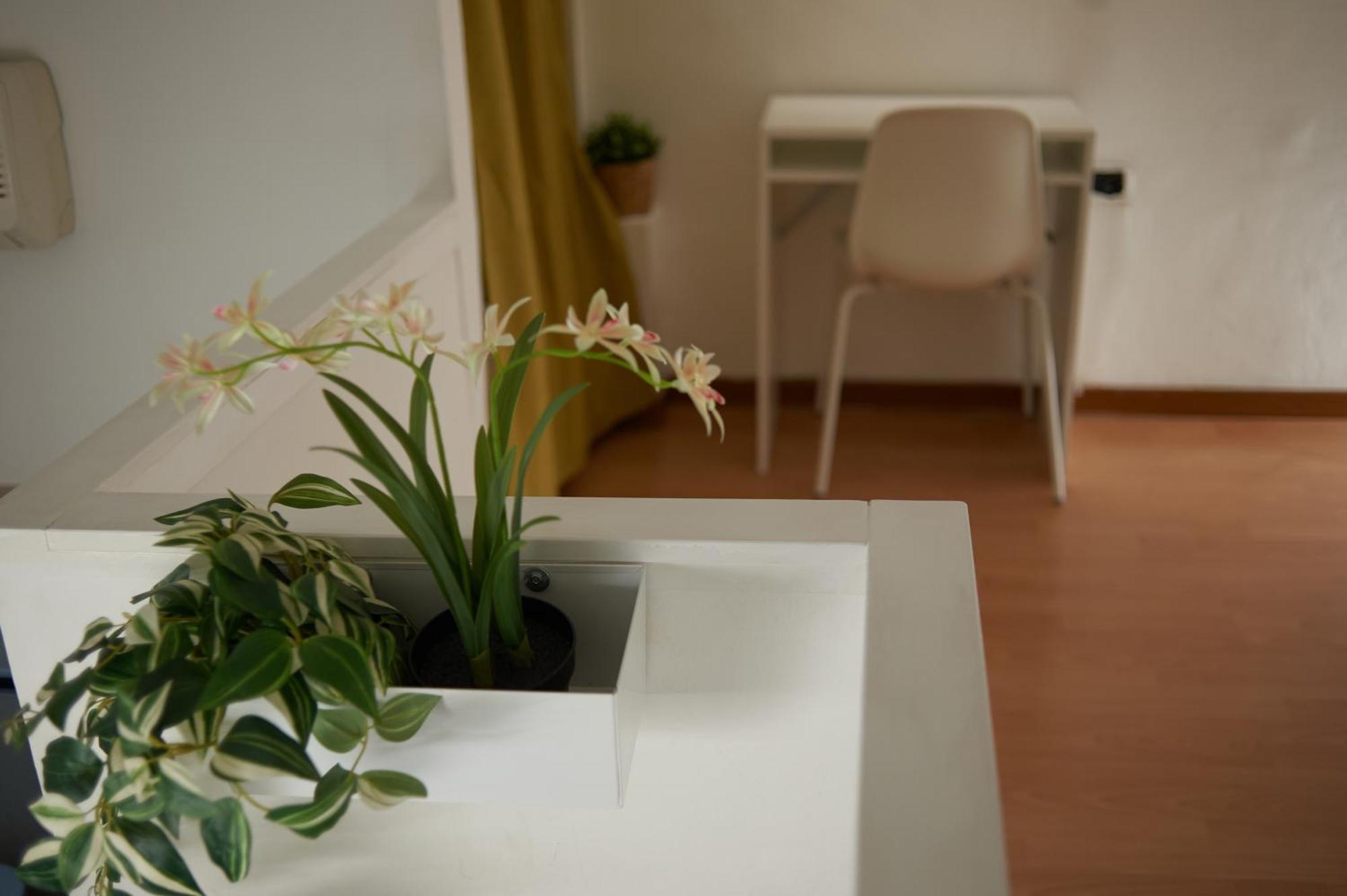 Isola Brera Duomo - Antica Atmosfera - Lovable Cozy Apartment ミラノ エクステリア 写真